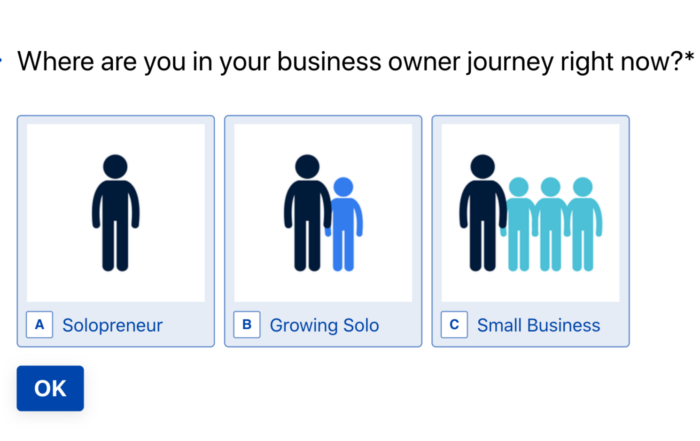 4Dbiz provides a virtual, fractional team for interior designer business owners. Complete our 2024 Census to help us provide the best possible content and service for where you are in your business journey!