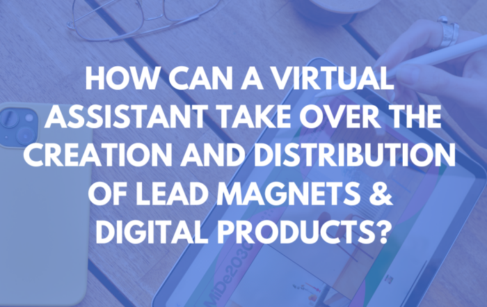 creation and distribution of lead magnets and digital products
